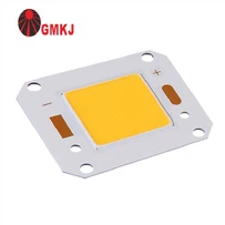 50W COB LED 4046 Super Bright 150LM / W